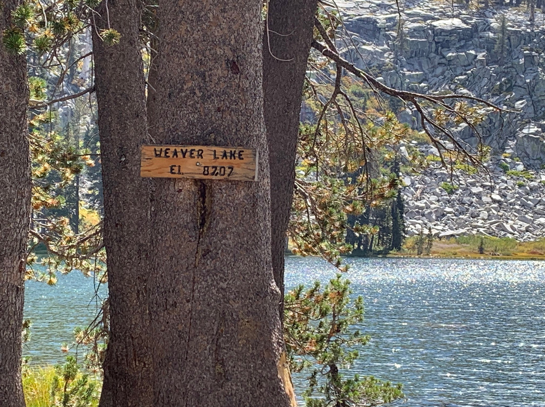 Weaver Lake Trail-红杉&国王峡谷国家公园必去景点