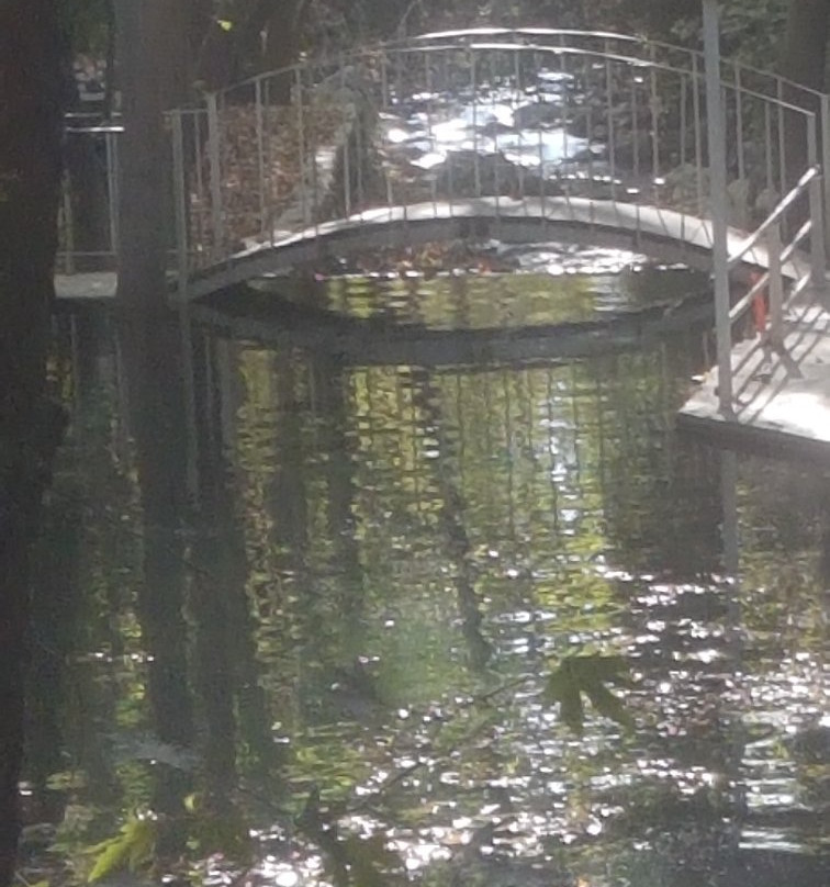 Tours Lebanon-Jeita必去景点