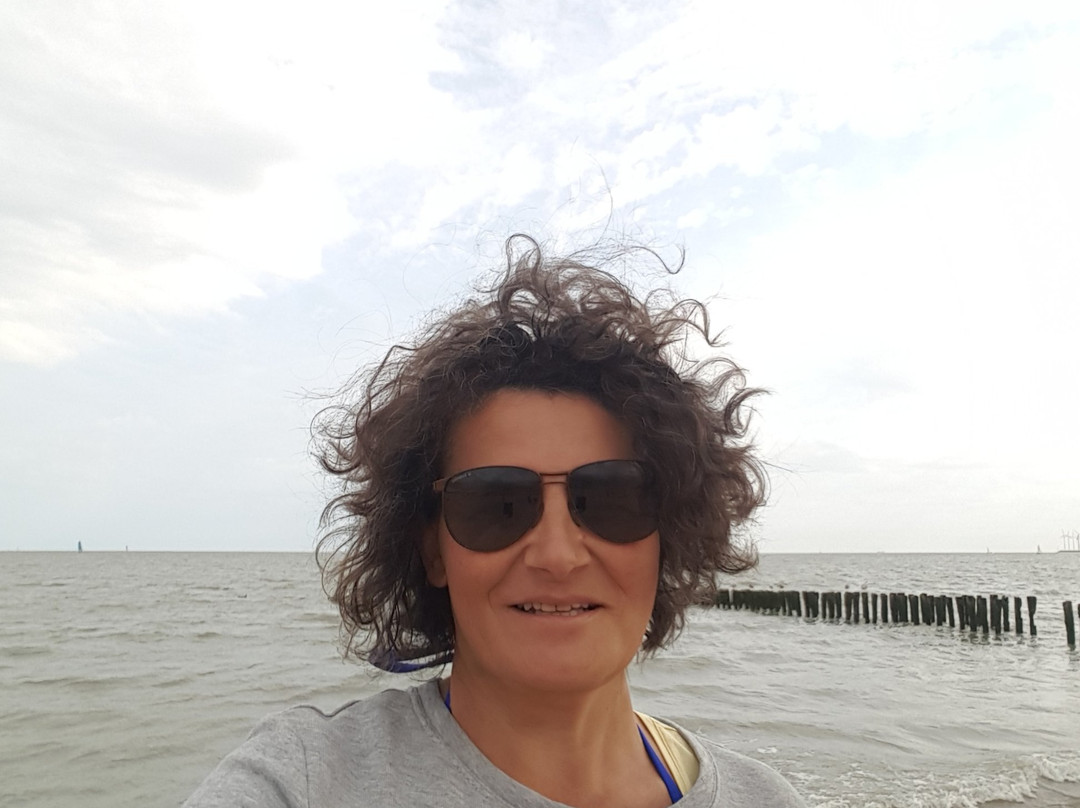 B&B De Tuinkamer - Knokke主图