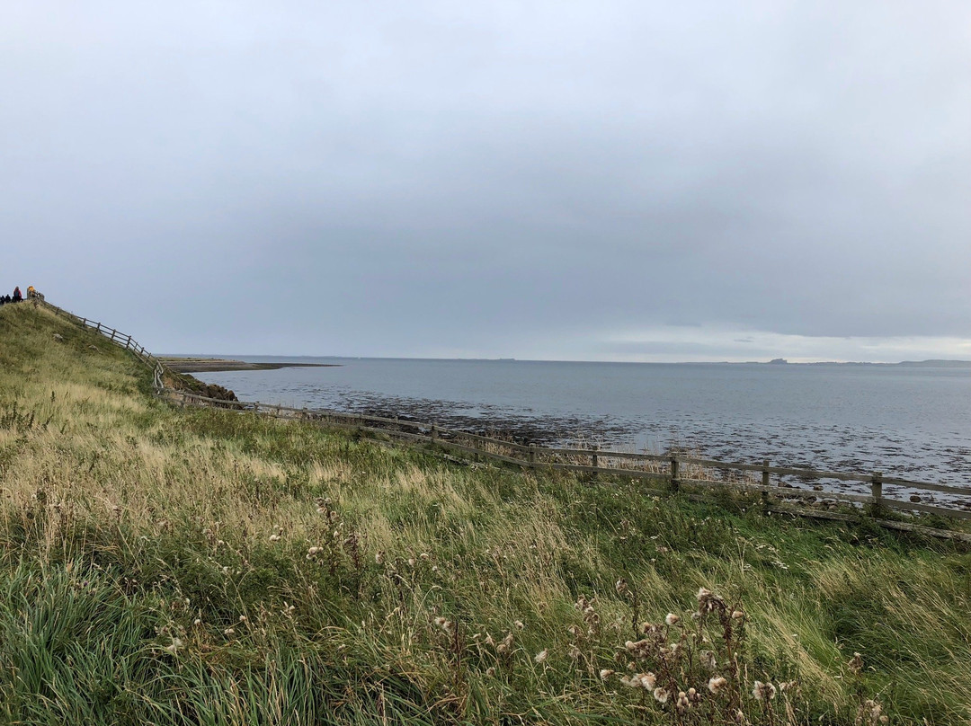 Holy Island Hikes景点图片