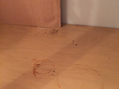 丽丽科伊客栈主图