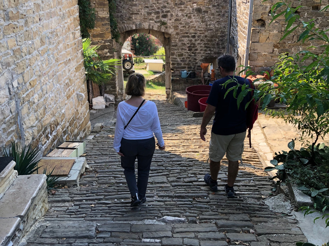 Vespa Tour Istria - Montona Tours-Motovun必去景点