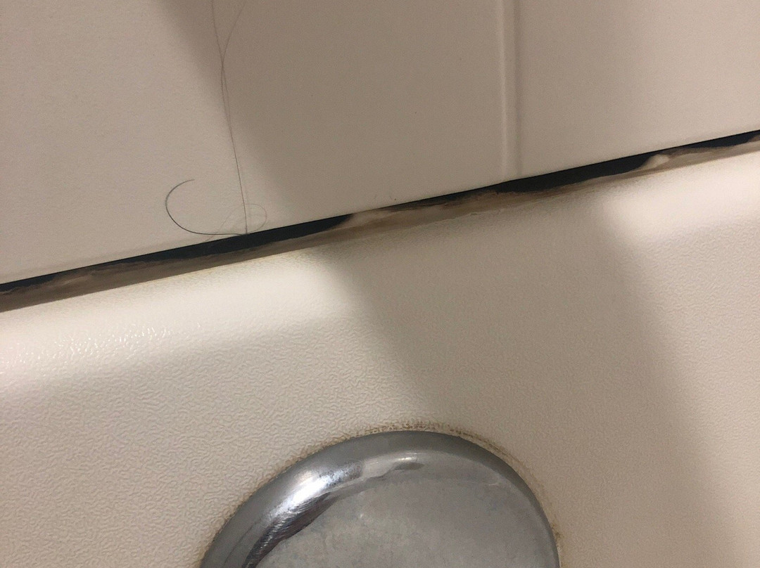 Super 8 by Wyndham Redding主图