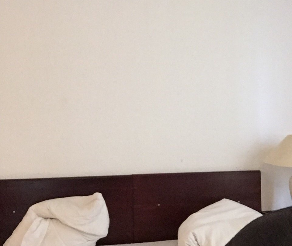 沃特汀戈尔酒店主图