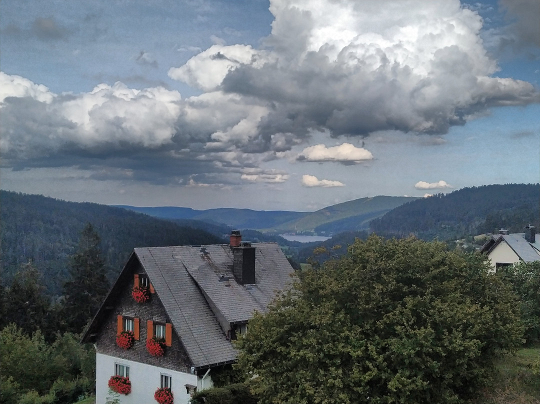 戴安娜酒店主图