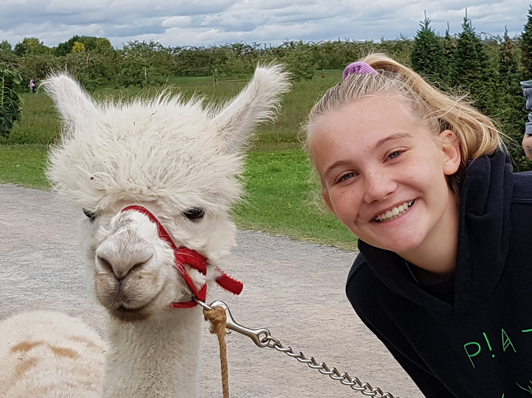 Verger Champetre - Gite & Compagnie-Granby必去景点