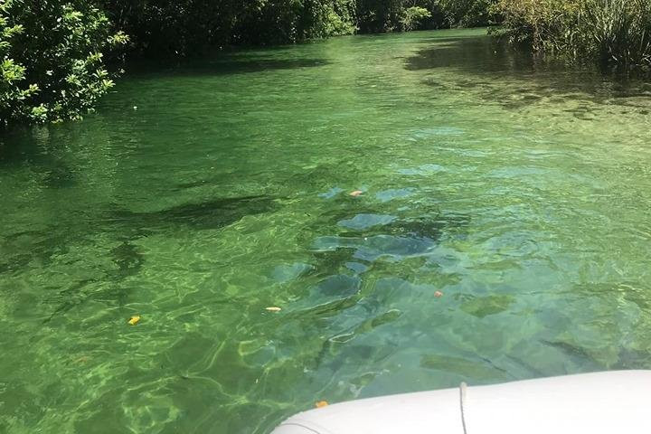 Weeki Wachee Boat Rentals-Weeki Wachee必去景点