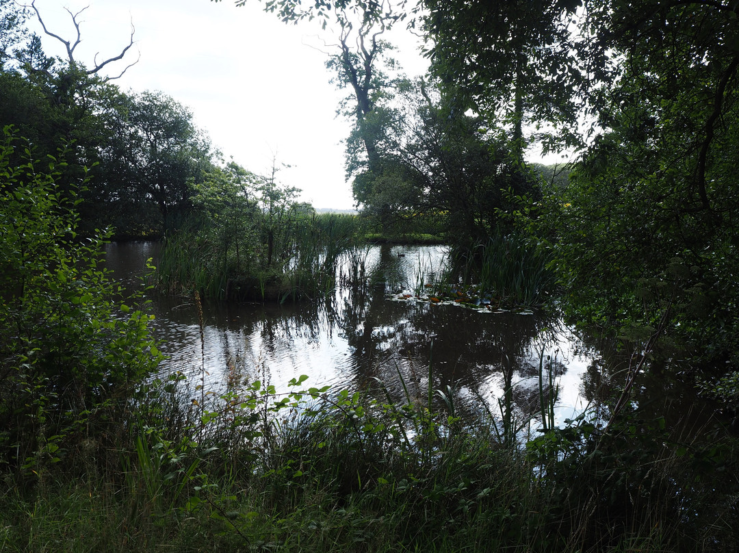 Parc-Le-Breos Guest House主图