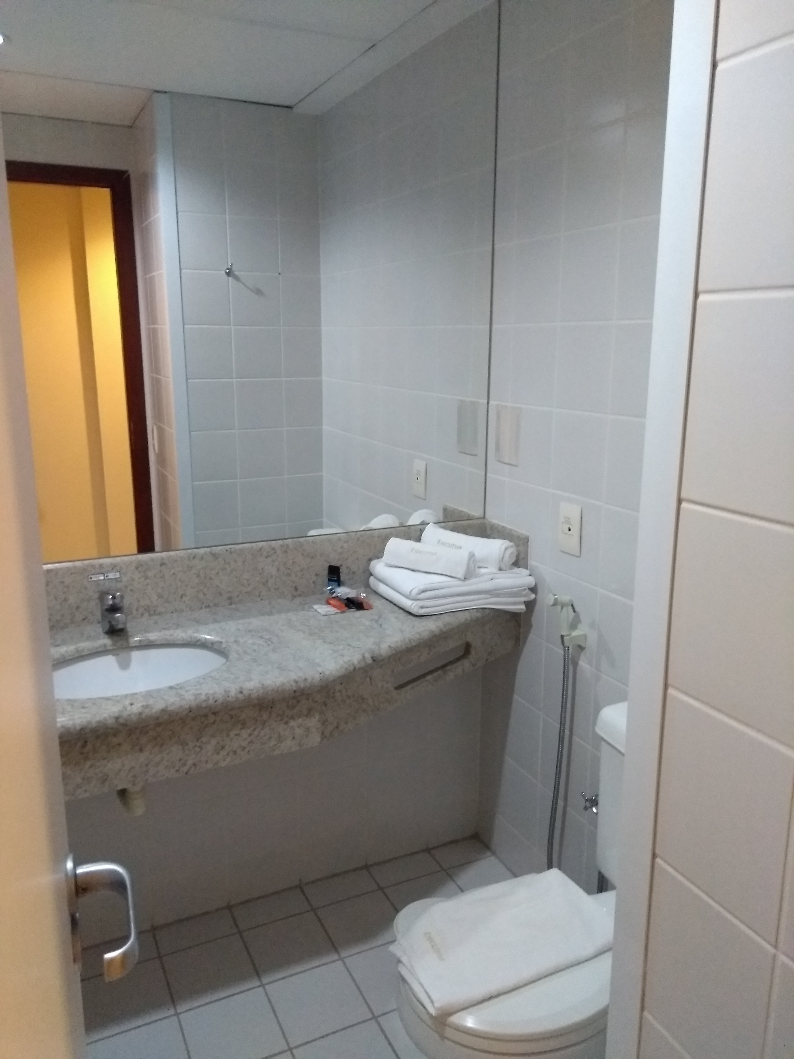 Executive Inn-浴室