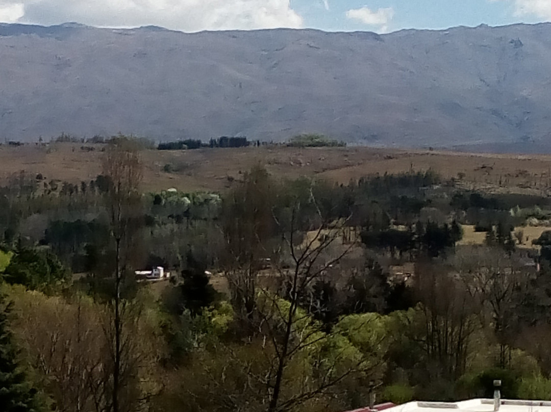 Dormis Alma y Miel