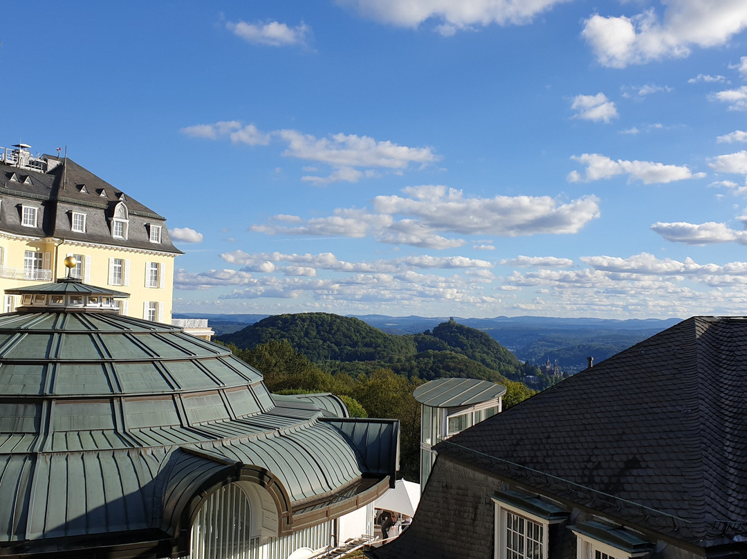 Steigenberger Icon Grandhotel & Spa Petersberg主图