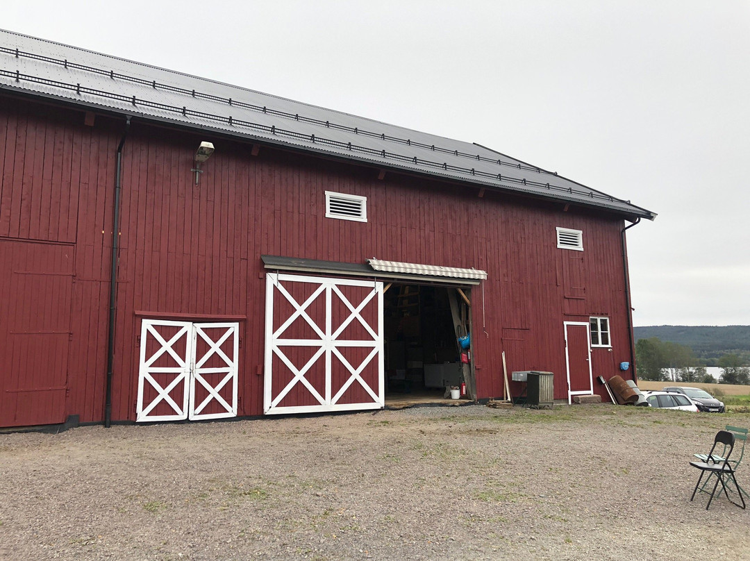 Rotnes旅游景点-Skjerven Farm