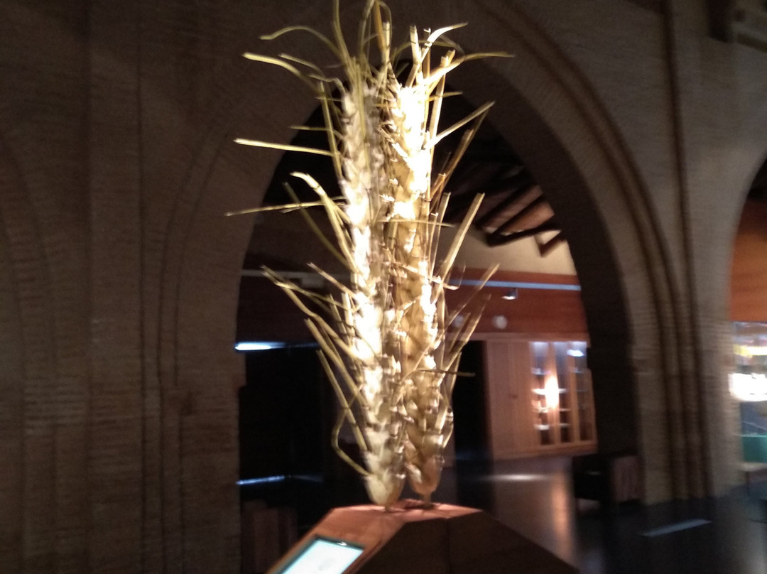 Museo Del Pan景点图片