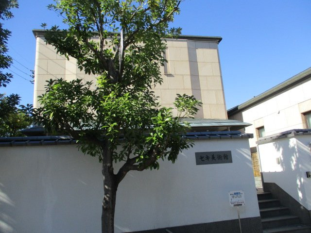 Seki Museum景点图片
