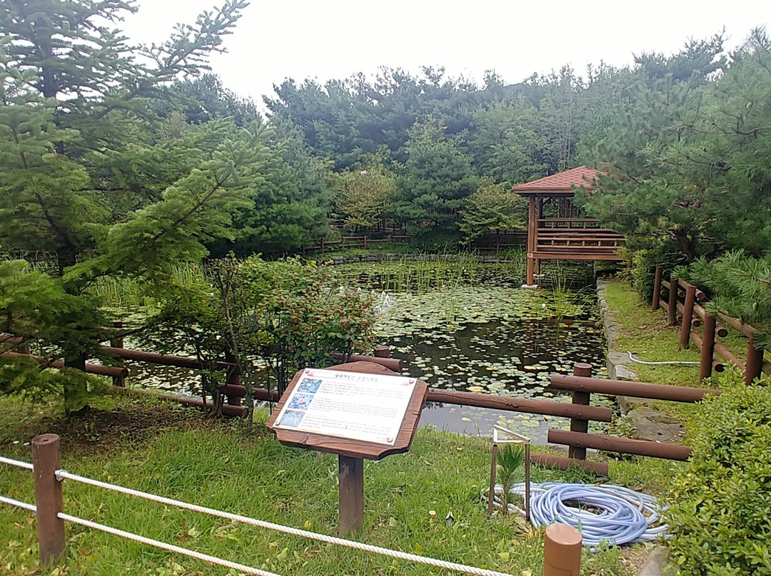 Sungnam Botanical Garden-城南市必去景点