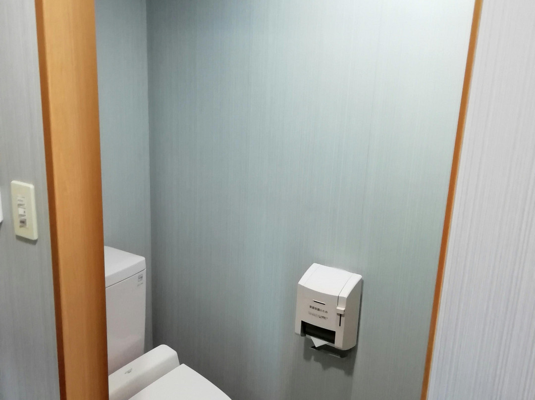 阿苏熊本机场碧富酒店主图