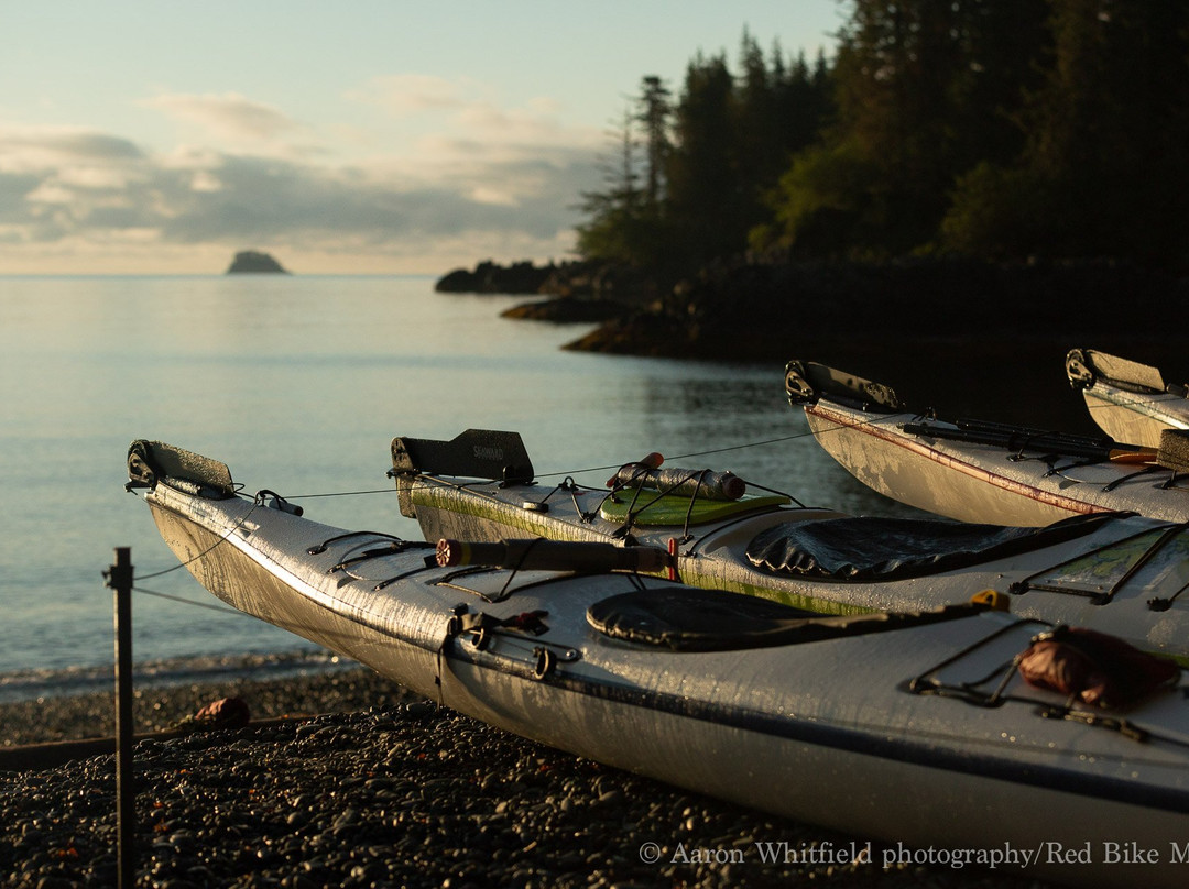 Ocean Sound Kayaking景点图片