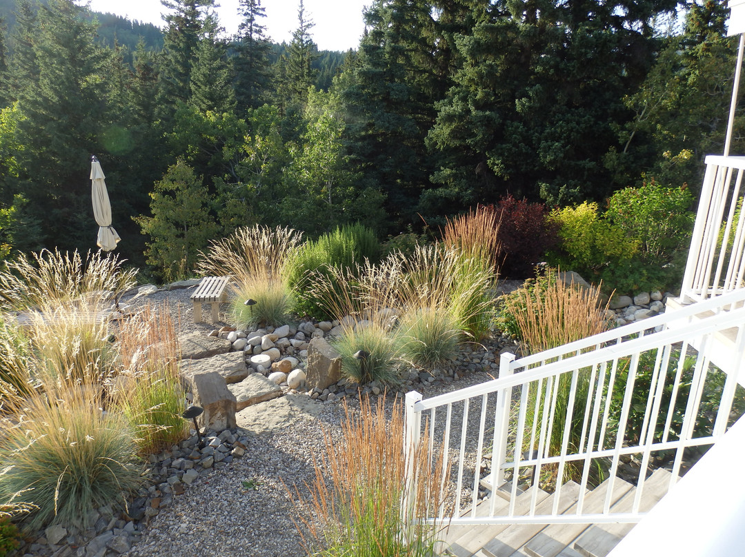 Aspen Grove Bed & Breakfast主图