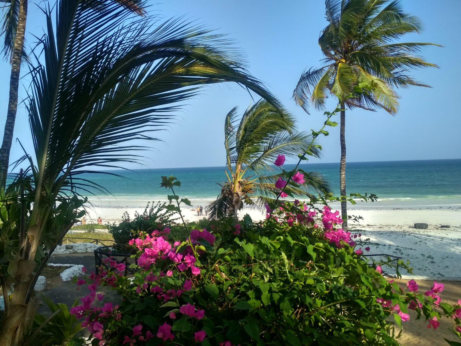 Baobab Sea Lodge-泳池