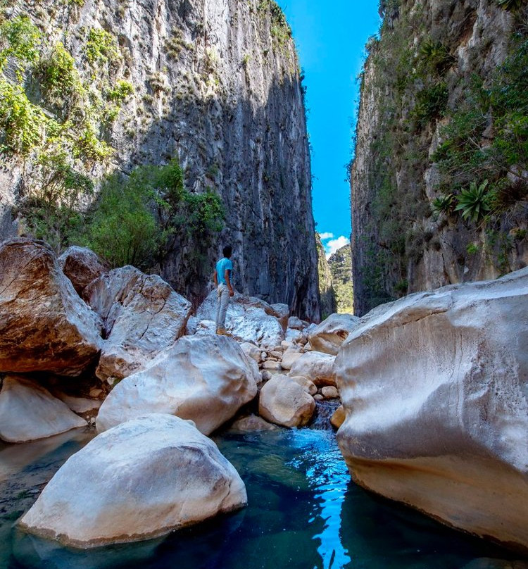 Hotel Fandangos主图