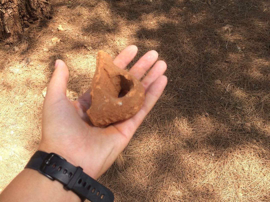 Lyrboton Kome Antik Kenti-安塔利亚必去景点