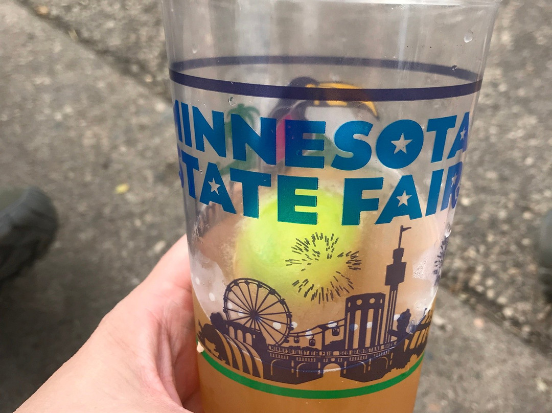 Minnesota State Fair-圣保罗必去景点