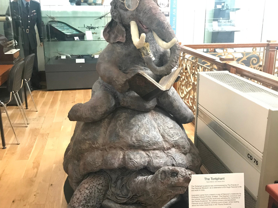 The Falconer Museum-福里斯必去景点