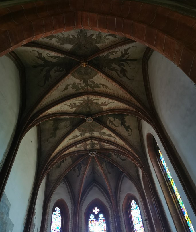 Celje Cathedral of Saint Daniel景点图片