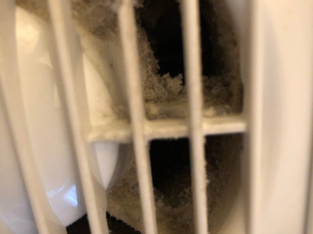 The Hatchet Inn主图