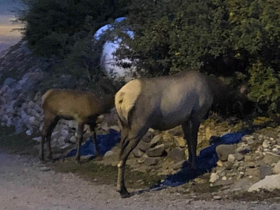 Hillcrest Cottages主图