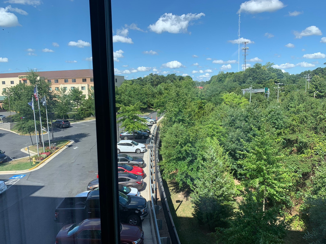 SpringHill Suites by Marriott Potomac Mills Woodbridge主图