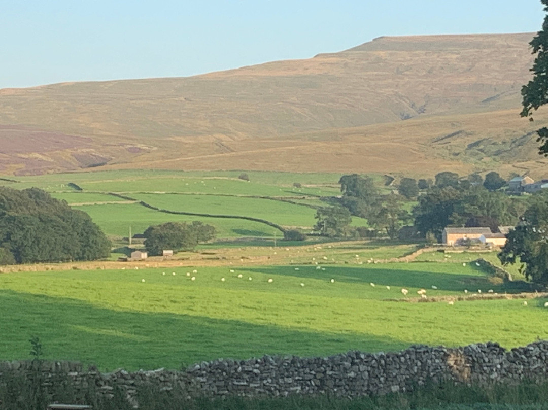 The Fat Lamb Country Inn主图