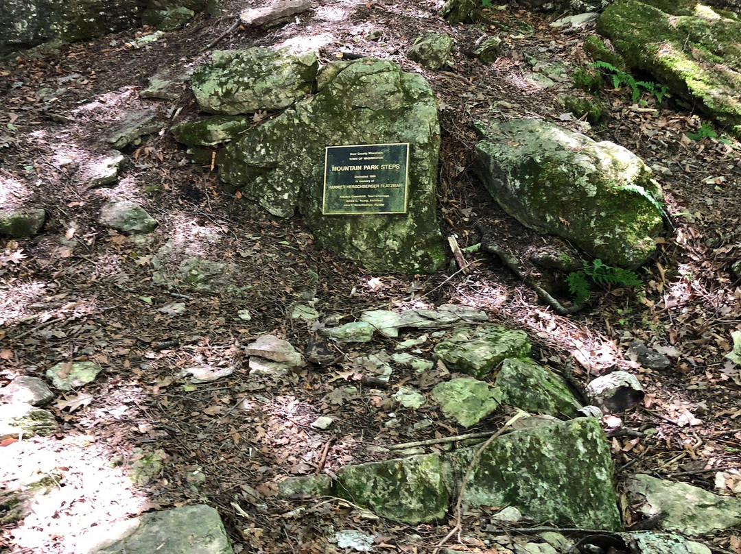 Mountain Park Lookout Tower-Washington Island必去景点