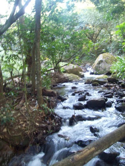 Cachoeira do Tabuao-Ouro Fino必去景点