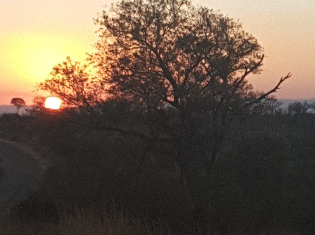 Kruger Park Tours - Kruger Game Drive-雾观必去景点