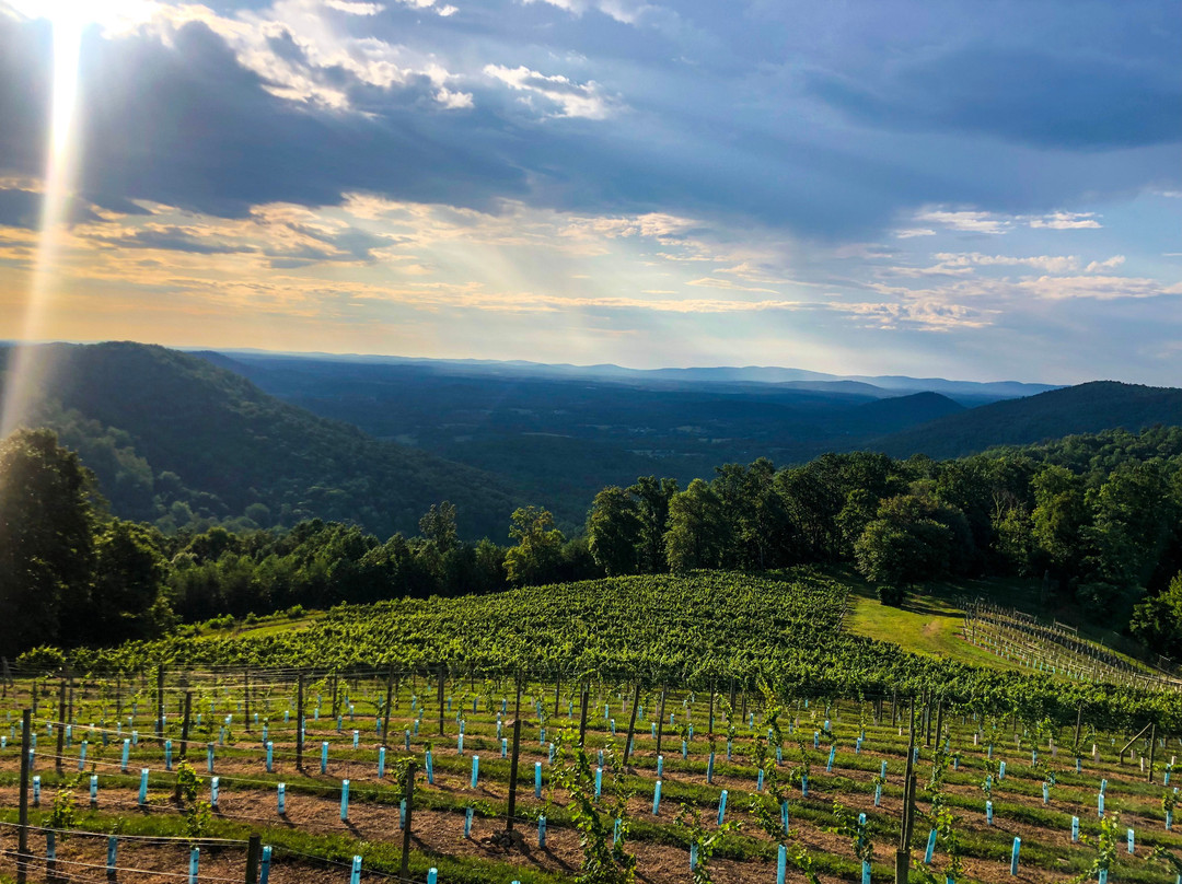 Stone Mountain Vineyards-Dyke必去景点