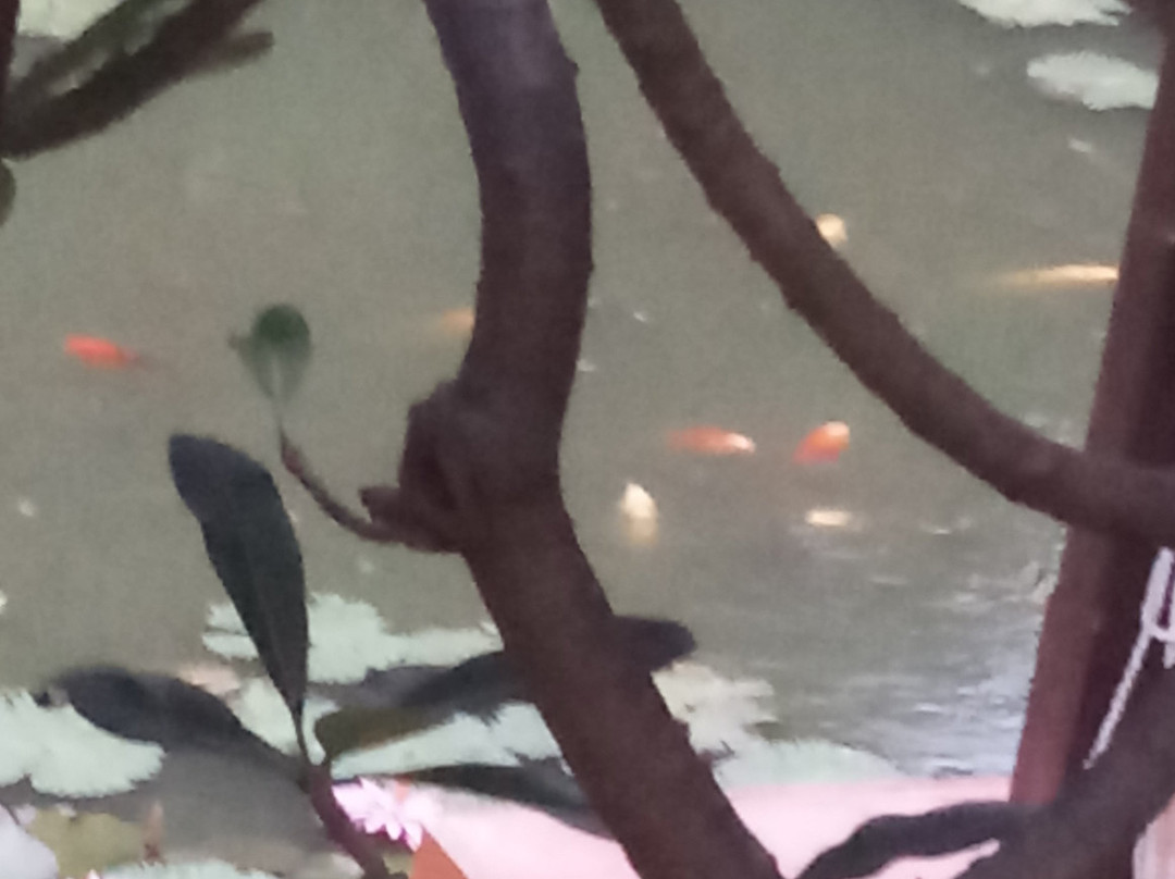 达客万温泉度假村主图