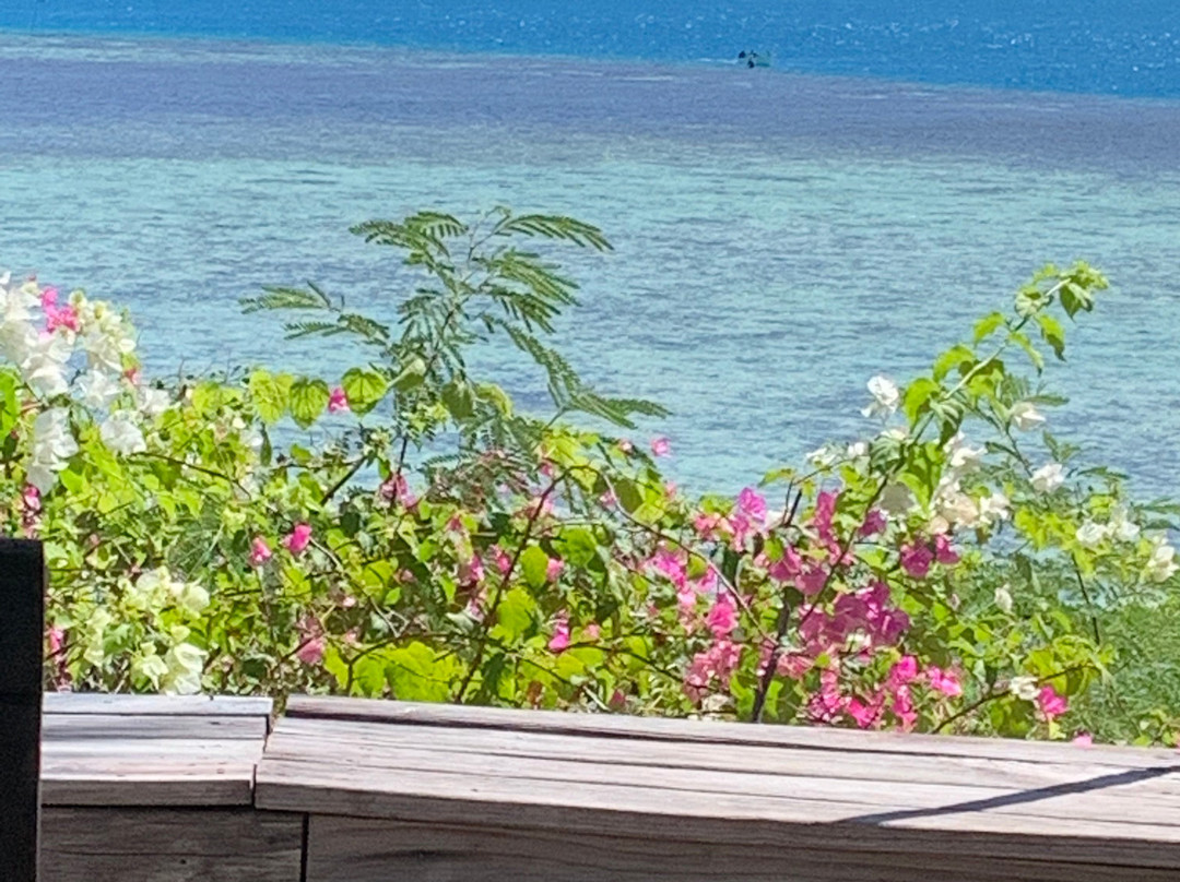 Wadigi Island Resort主图