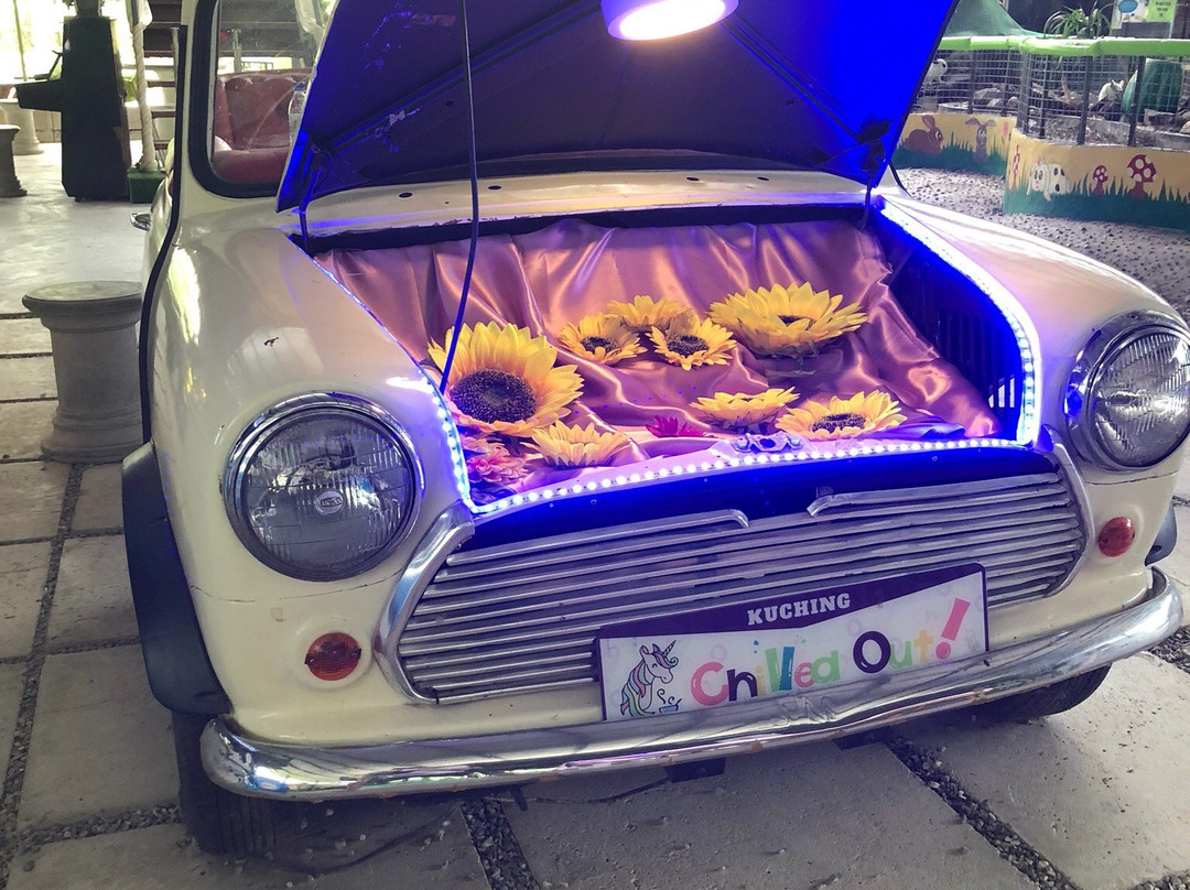 VH Green Nature Park-古晋必去景点