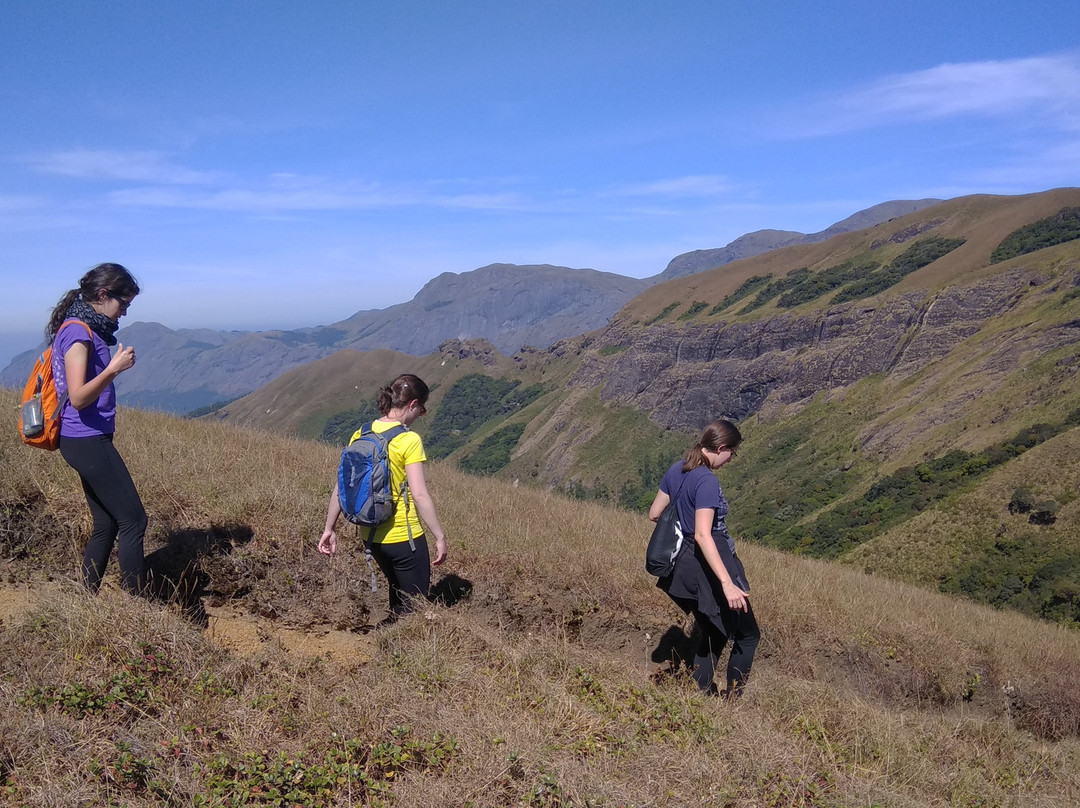 Munnar Trekking Adventure景点图片