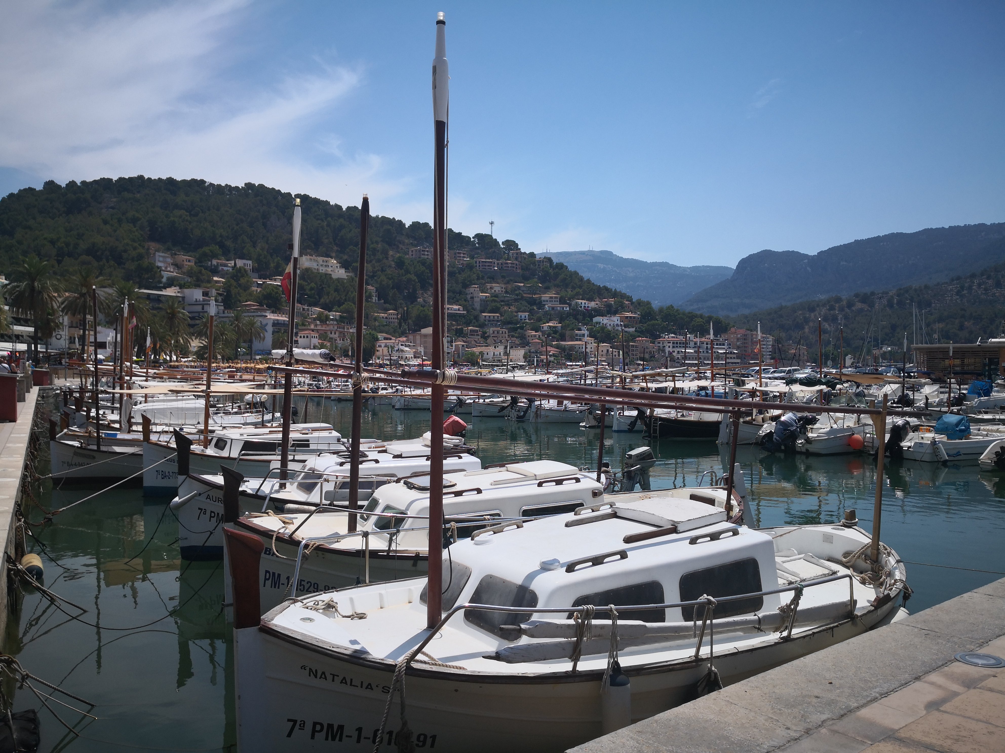 Hotel Soller Garden-官方