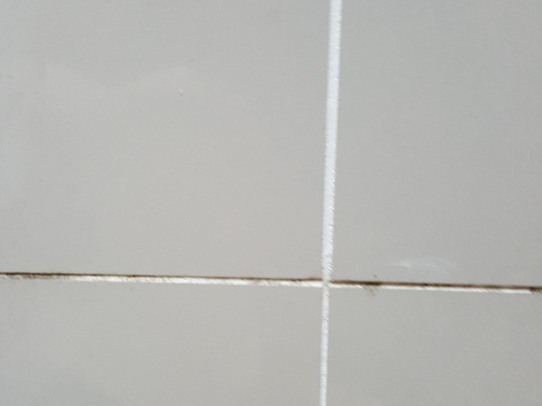 阿达拉卡姆珀尔唐恩酒店主图