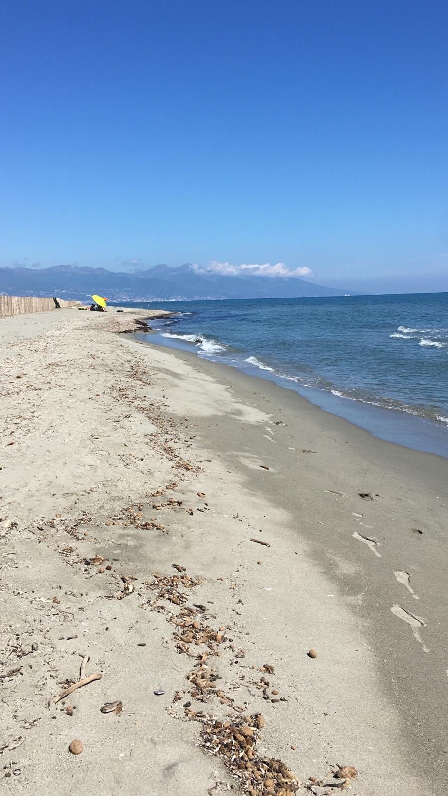 La villa de la marana-官方