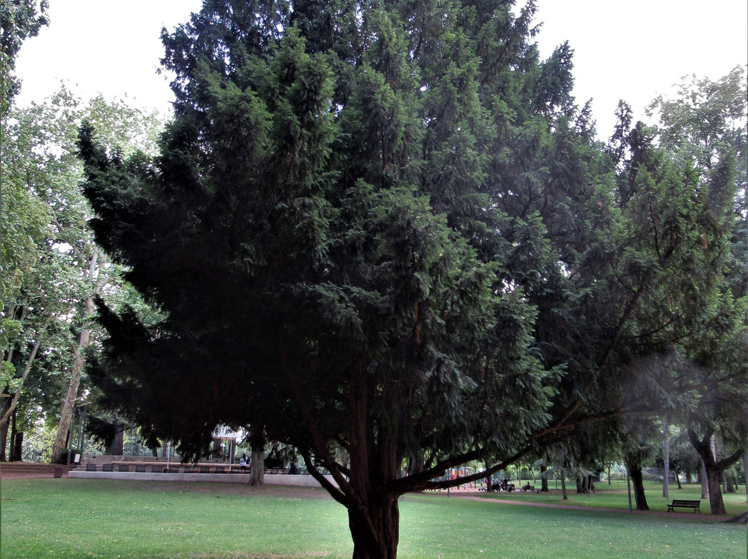 Parc Wilson-蒂永维尔必去景点