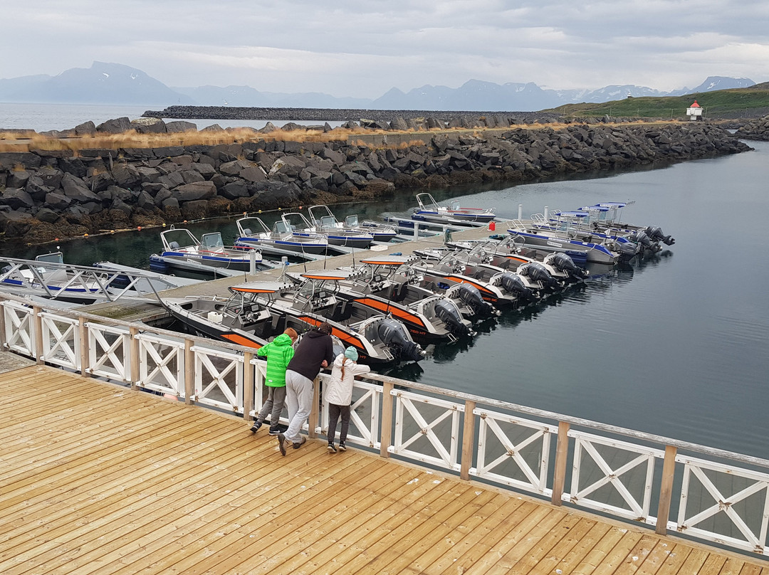 Big Fish Adventure Hasvik Hotel & Housing主图