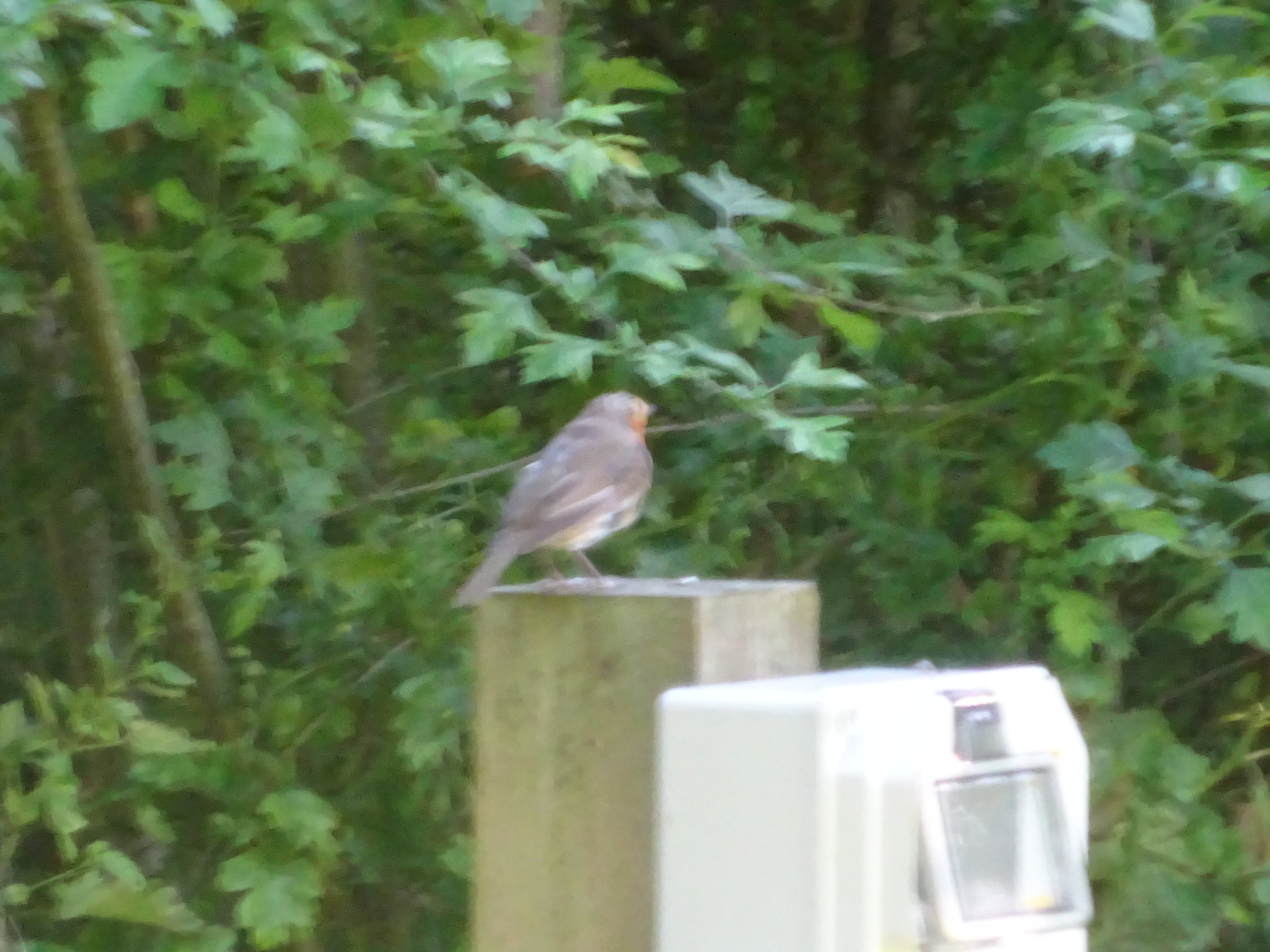 The Fleece Inn-浴室