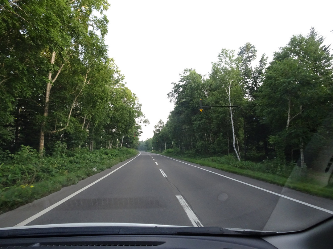 Shirakaba Road-美瑛町必去景点