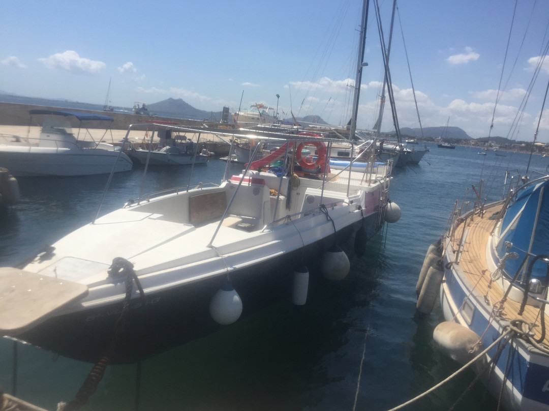 North Mallorca Charters Day Tours景点图片