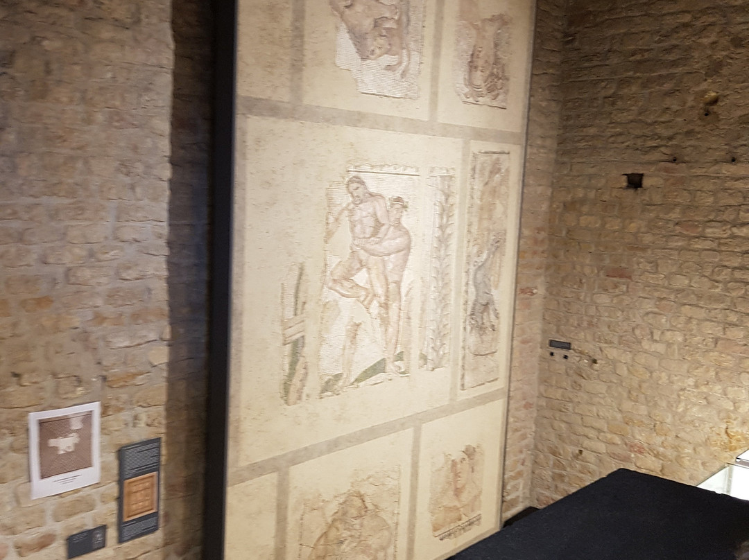 Musée romain-Avenches必去景点