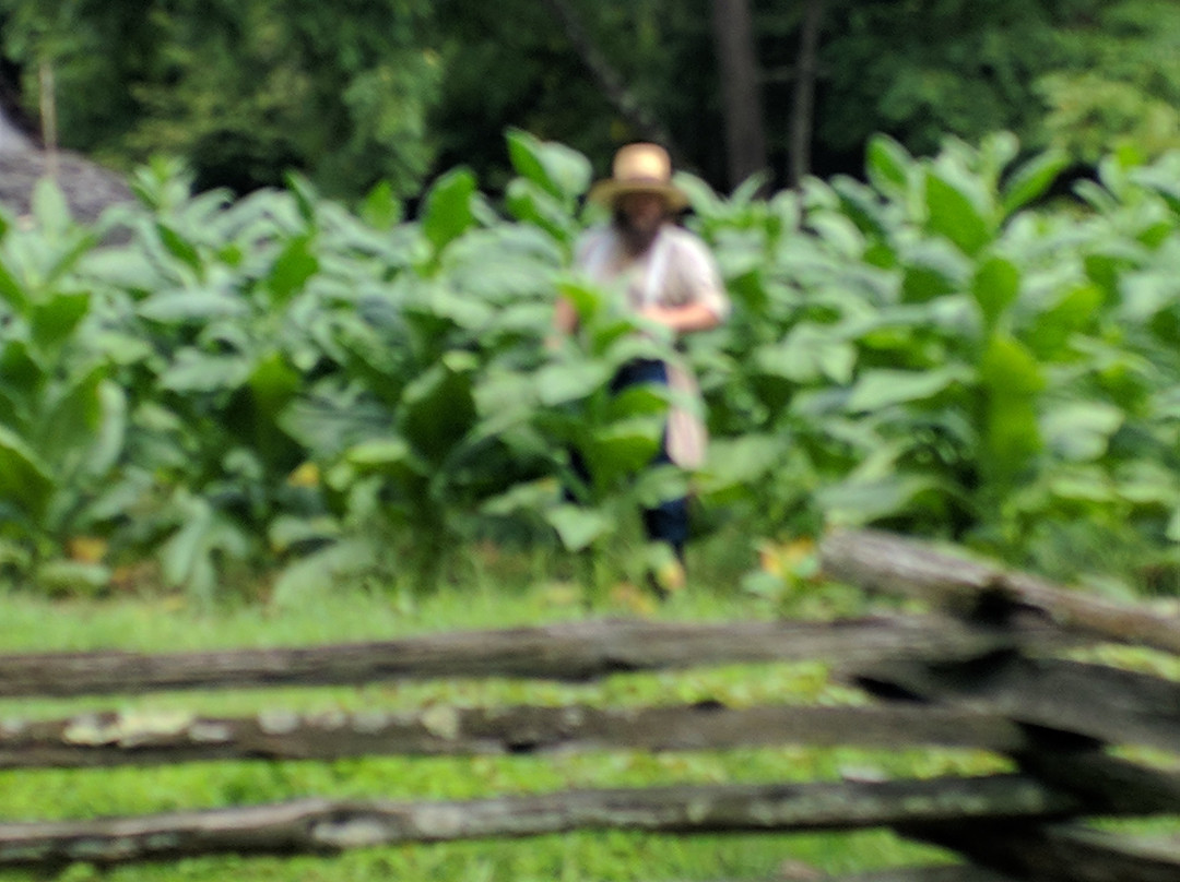 The Homeplace-田纳西必去景点